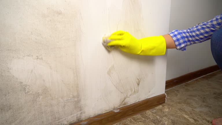 Best Post-Construction Mold Inspection  in Chadds Ford, PA
