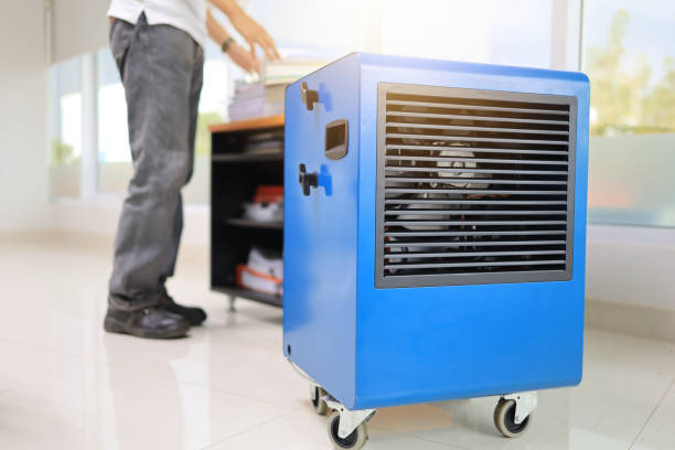 Best Mold-Related Health Consultation  in Chadds Ford, PA